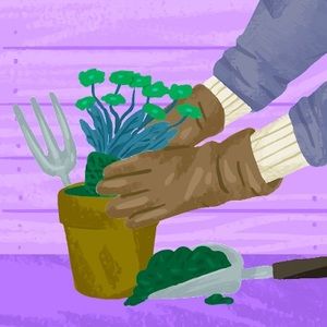 Meet your Posher, Daileni's